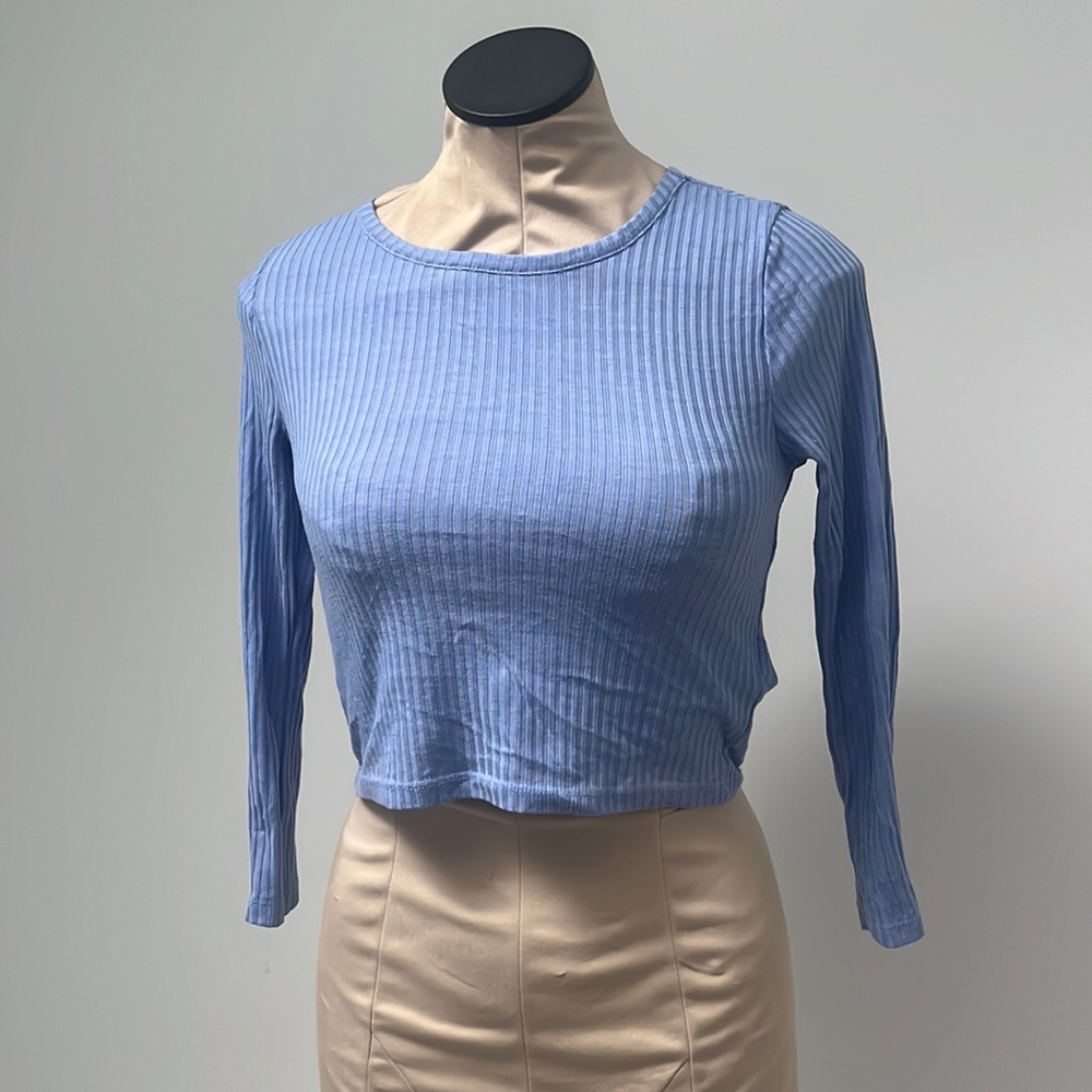 Periwinkle crop top